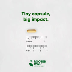 Liver Support